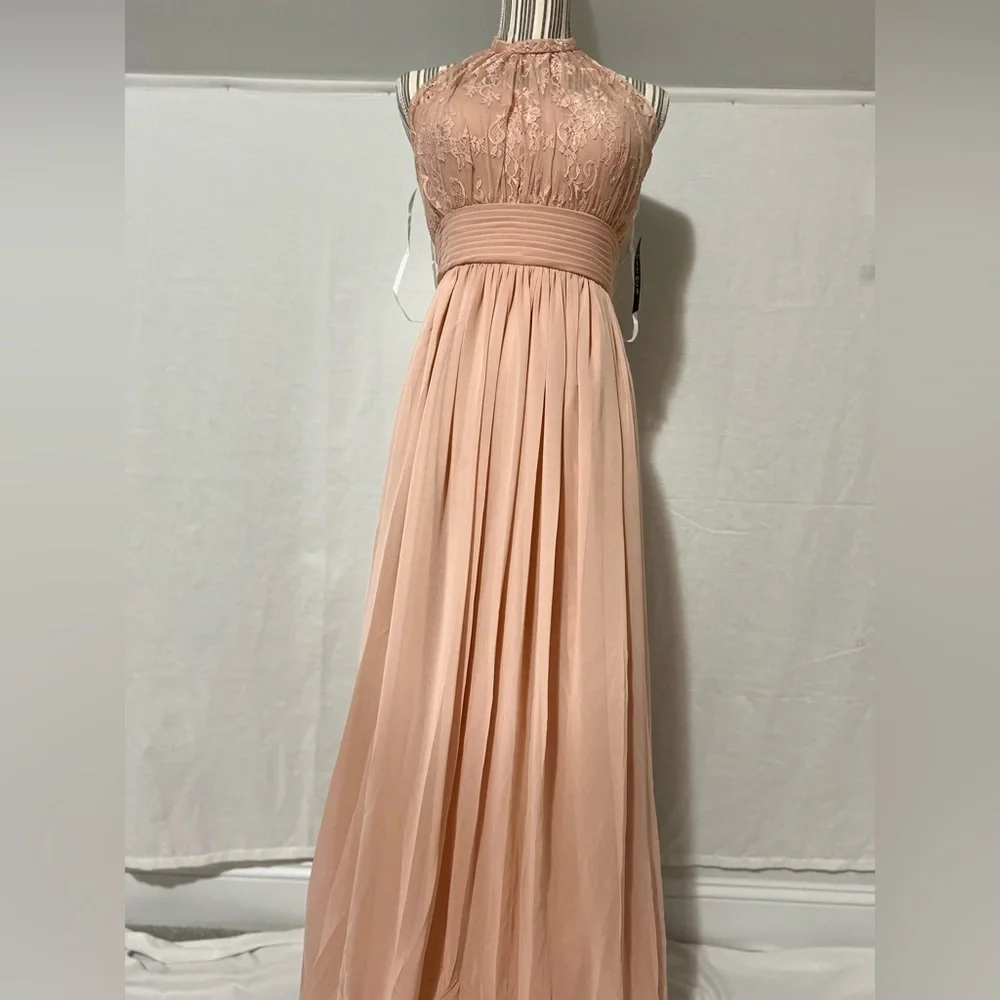 Sonsiya Blush Pink Lace Chiffon Maxi Dress Size 12 Formal Gown NWT - Picture 3 of 12
